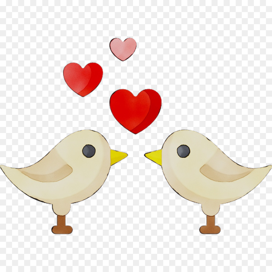 Gallo，Aves PNG