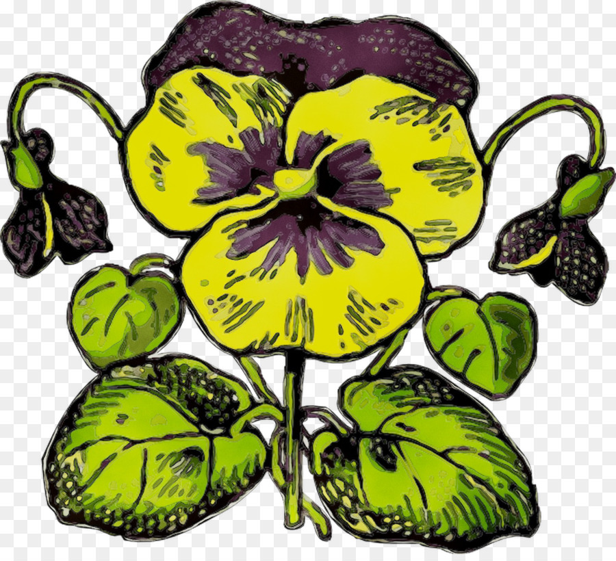 Pansy，Amarillo PNG