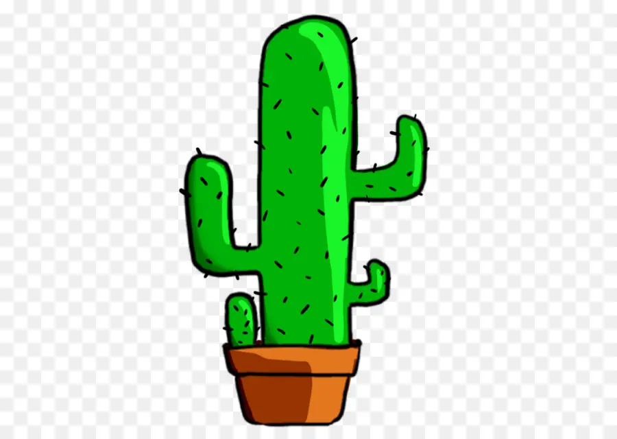 Cactus，Verde PNG