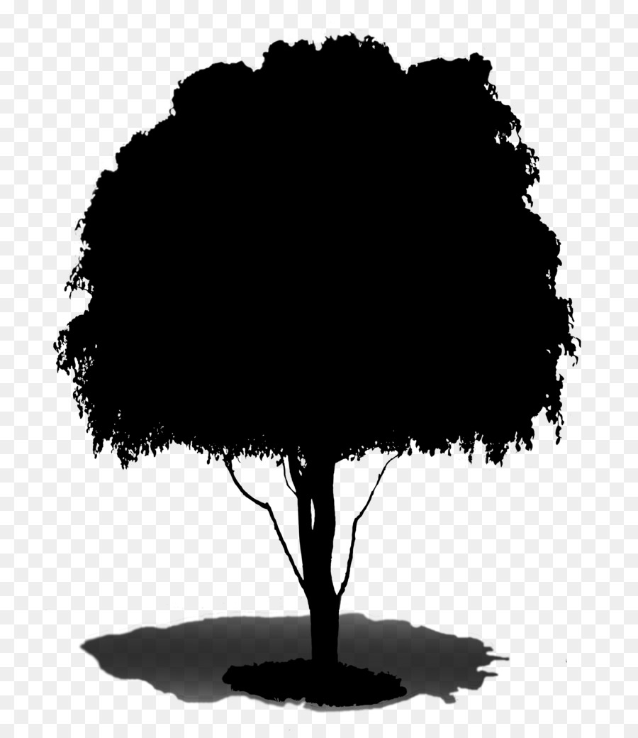 Árbol，Naturaleza PNG