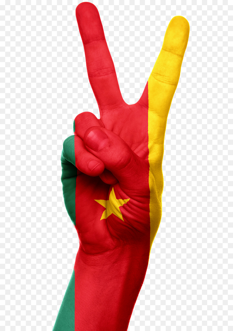 Camerún，Bandera De Camerún PNG