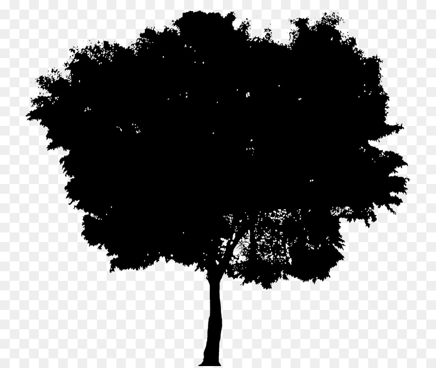 Silueta De Arbol，Hojas PNG