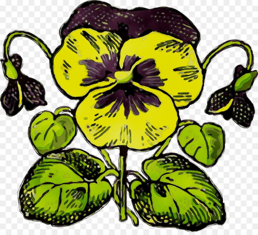 Pansy，Royaltyfree PNG