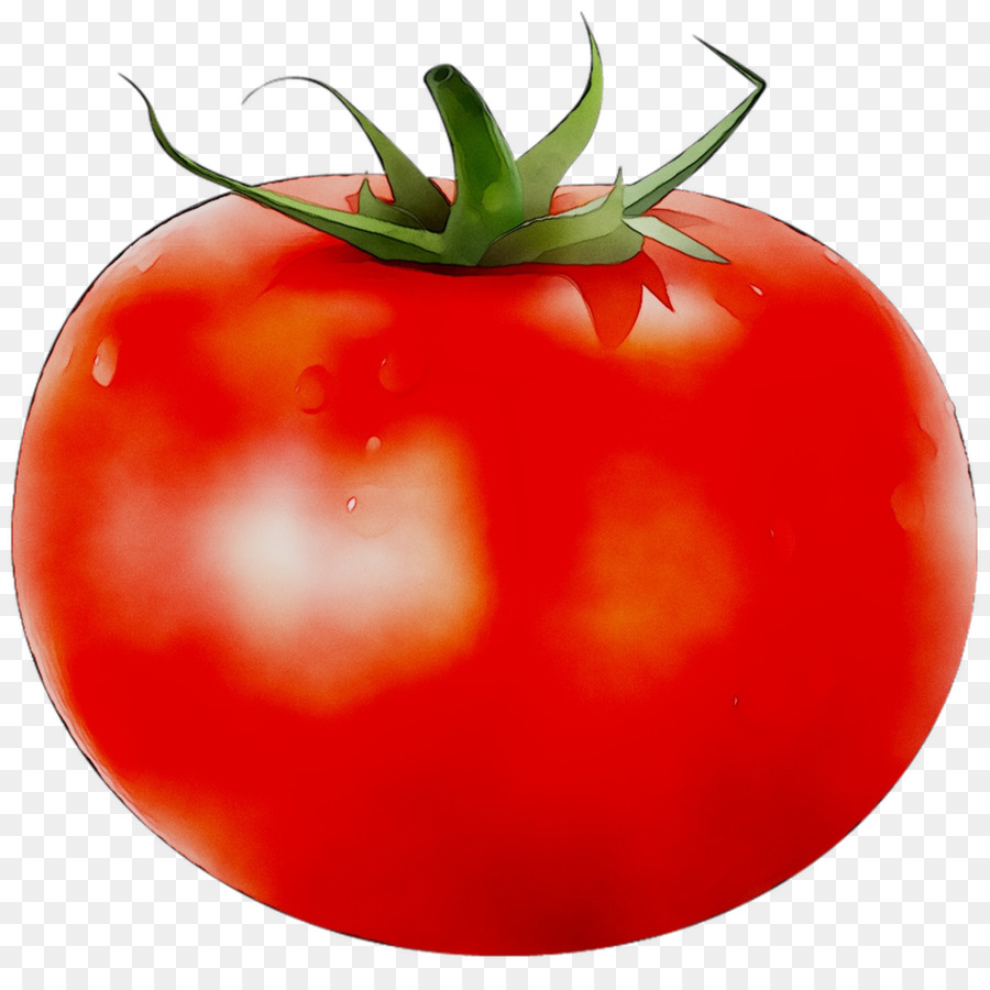 Tomate Ciruela，Tomate PNG