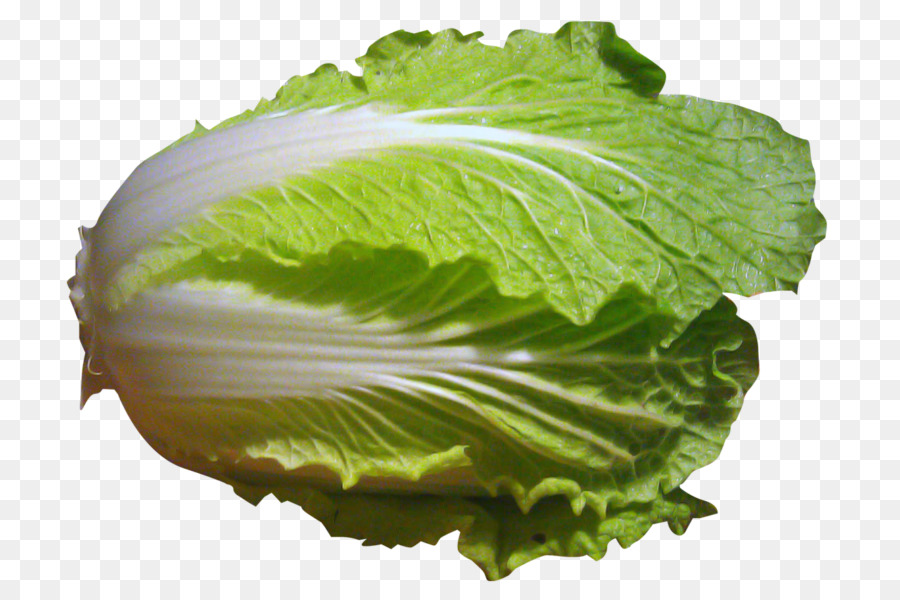 Lechuga Romana，De Verduras De Primavera PNG