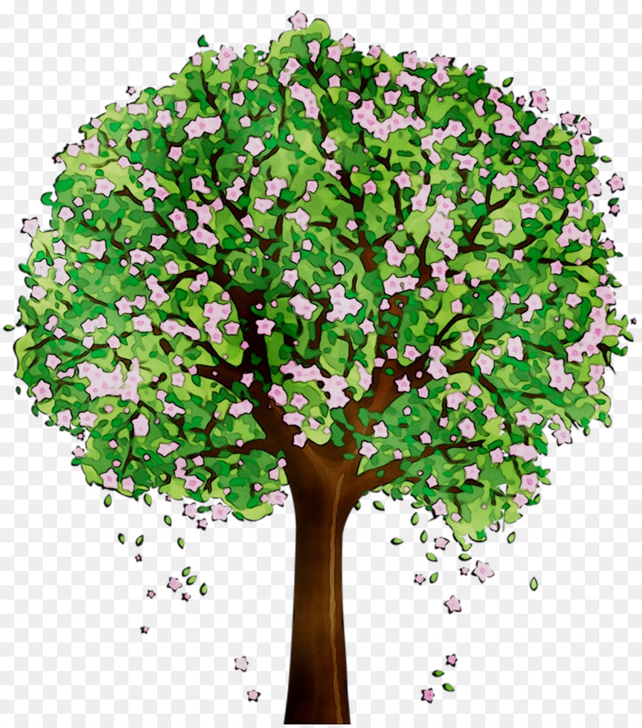 Árbol，Hojas PNG