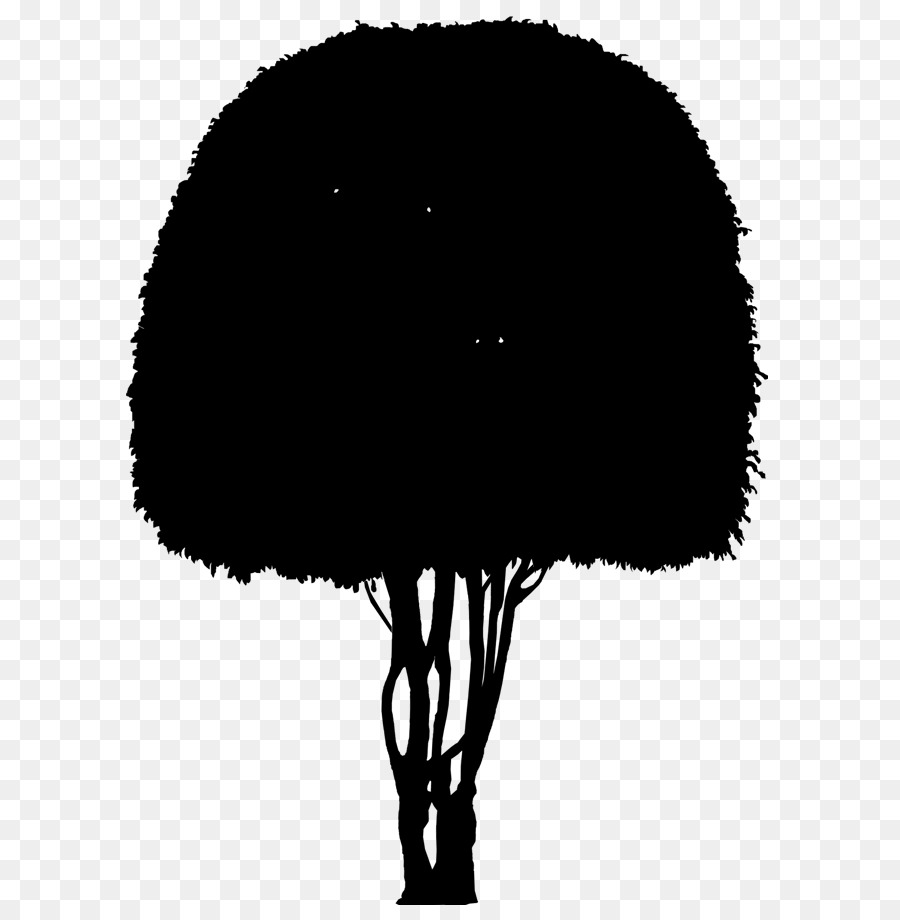 Árbol，Silueta PNG