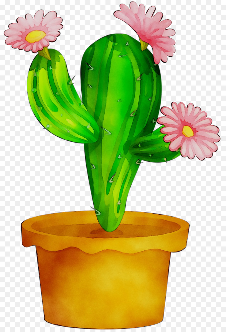 Cactus，Suculento PNG