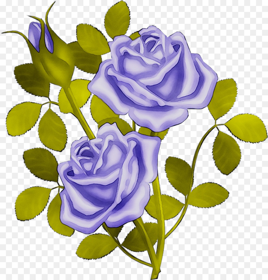 Las Rosas De Jardín，Rosa Azul PNG