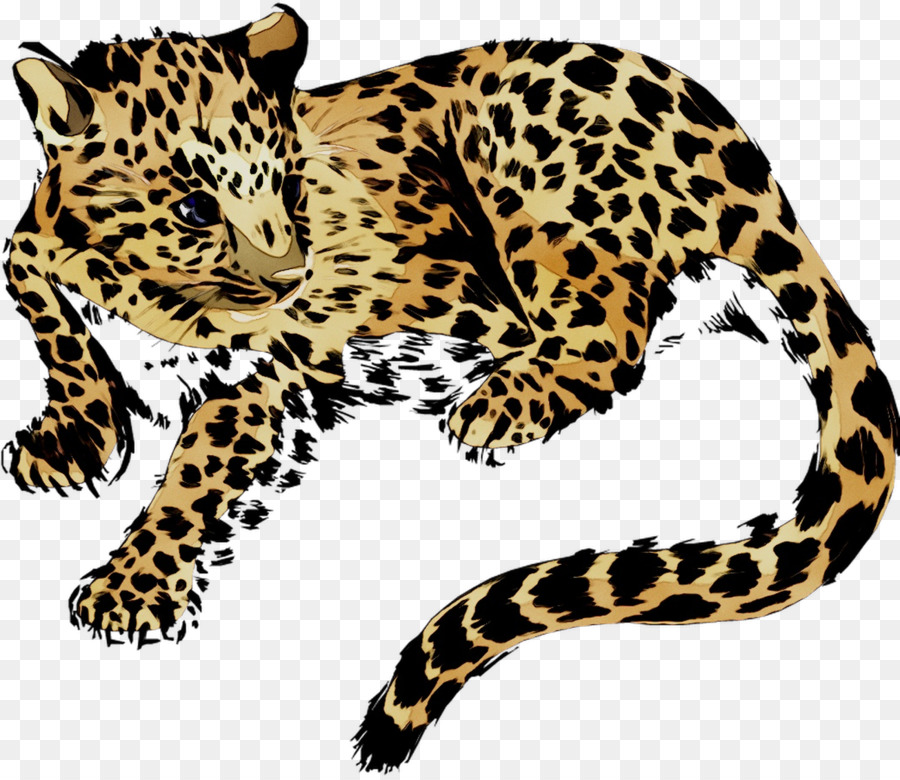 Leopardo，Jaguar PNG