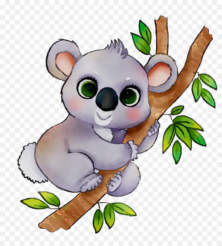 Koala，Oso PNG