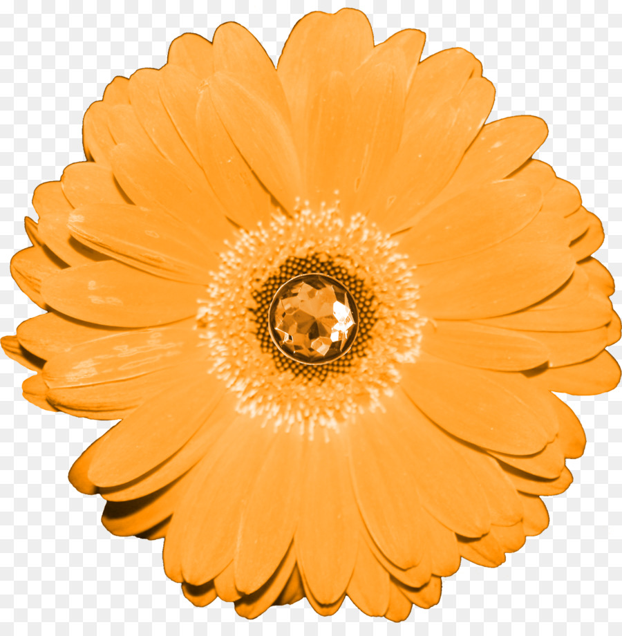 Flor，Florecer PNG