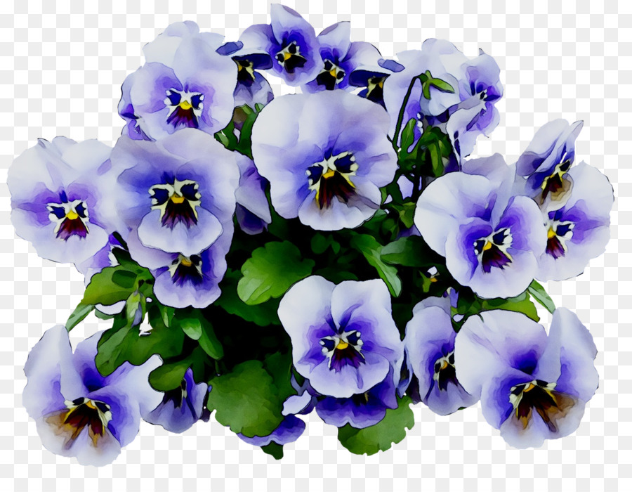 Flores Moradas，Florecer PNG