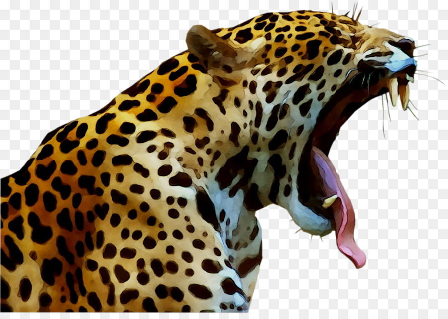 Jaguar，Guepardo PNG