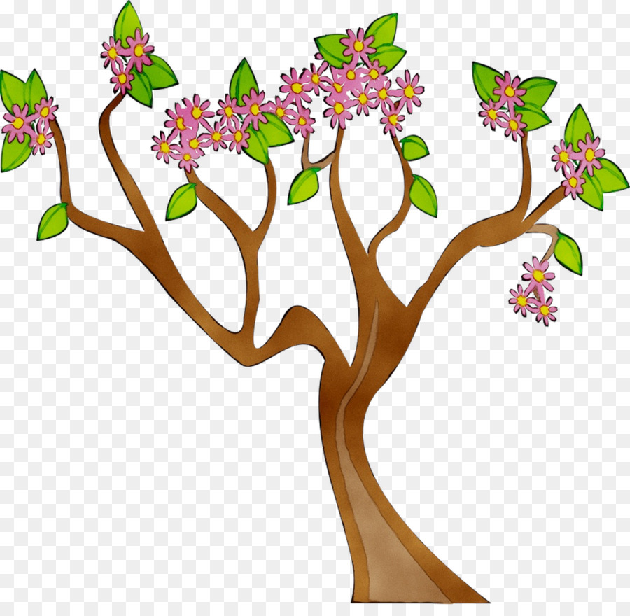 árbol En Flor，Florecer PNG