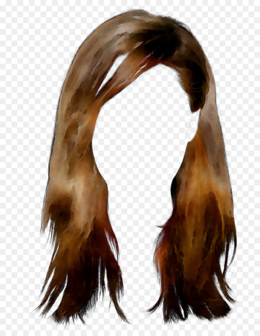 Cabello，El Pelo Largo PNG