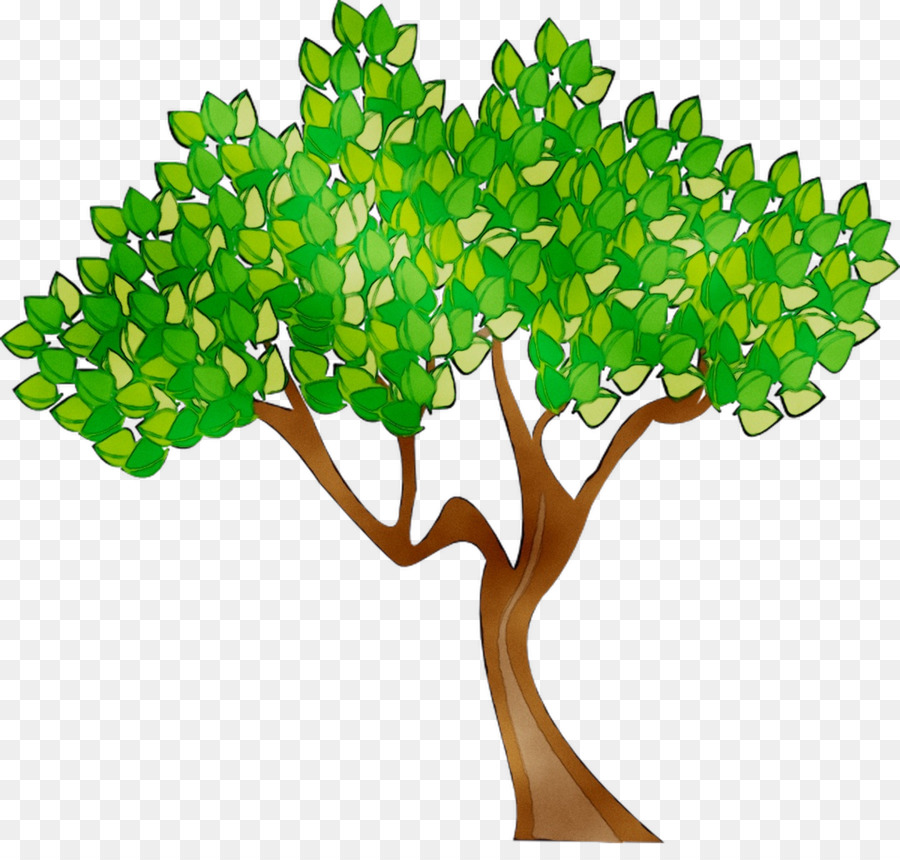 Árbol，Hojas PNG