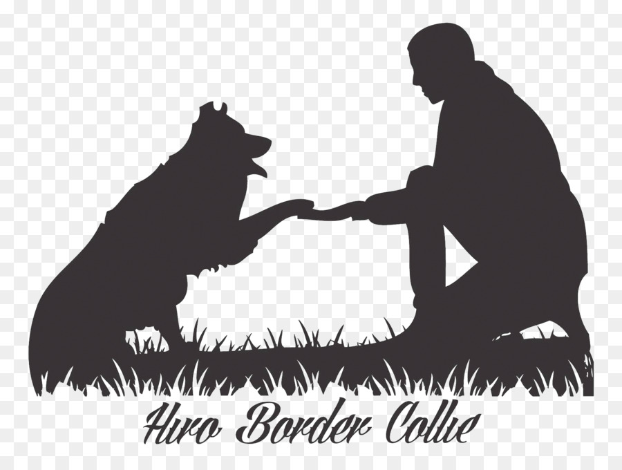 Border Collie，Video PNG