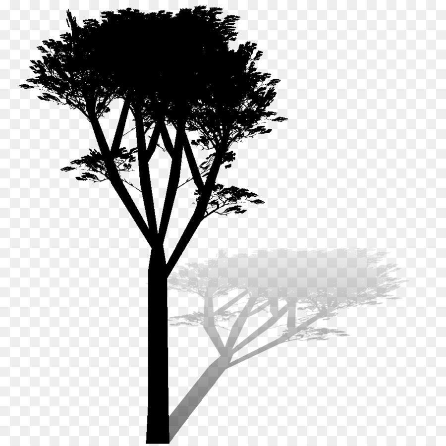 Árbol，Naturaleza PNG