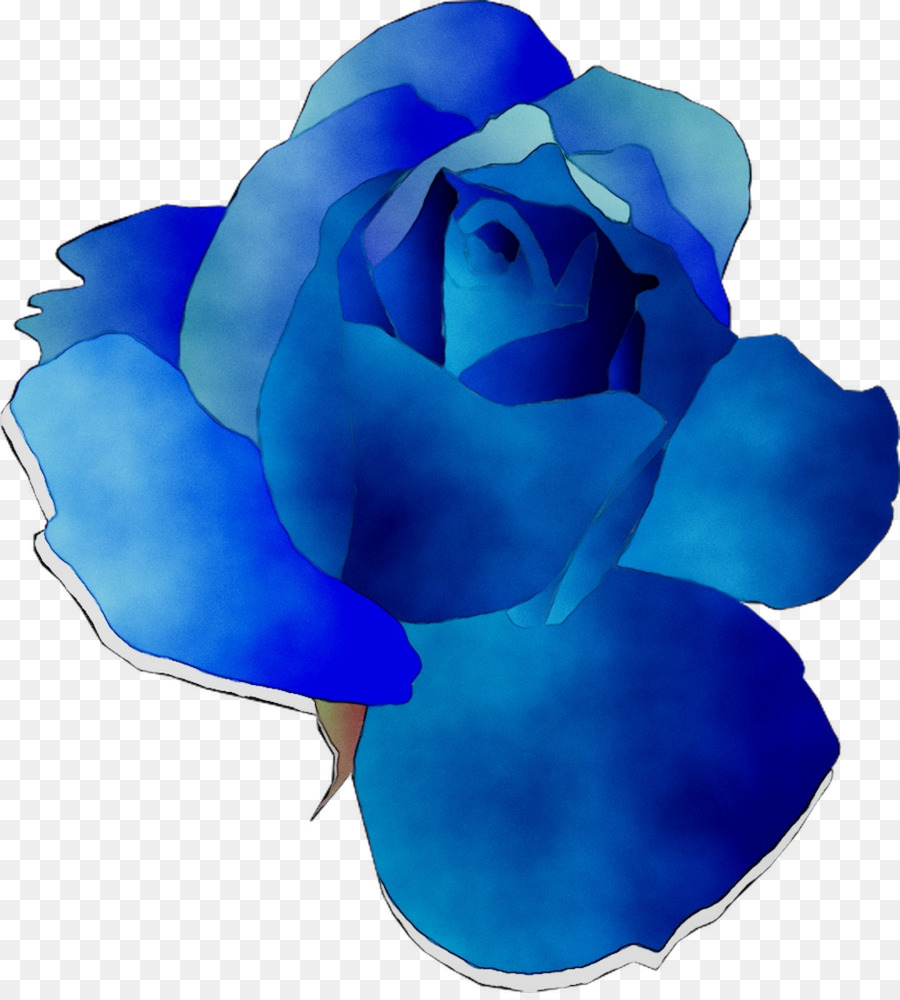 Rosa Azul，Pétalos PNG