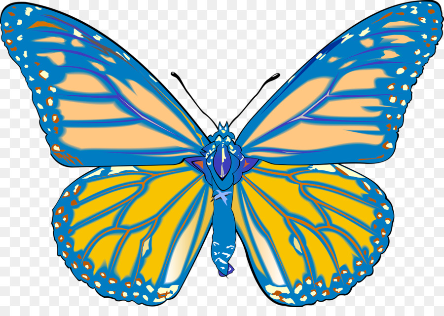 Los Insectos，La Mariposa Monarca PNG