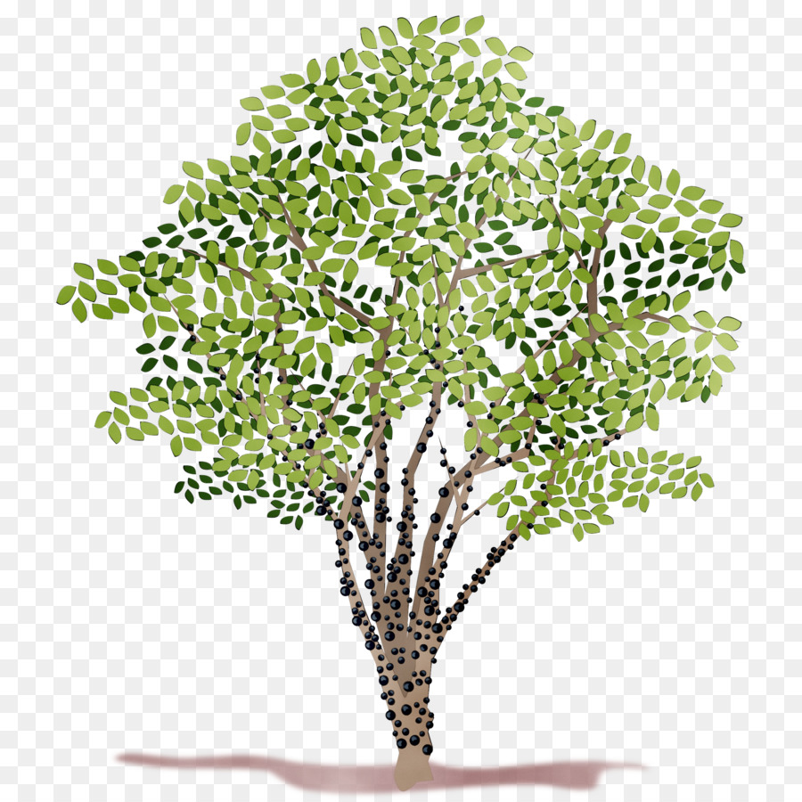 Árbol，árbol De Navidad PNG