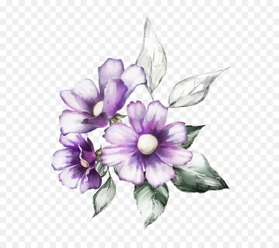 Flores Moradas，Florecer PNG