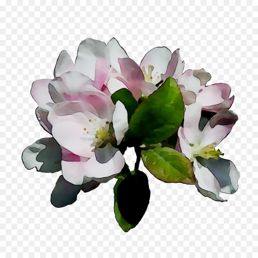 Flor，Rama PNG