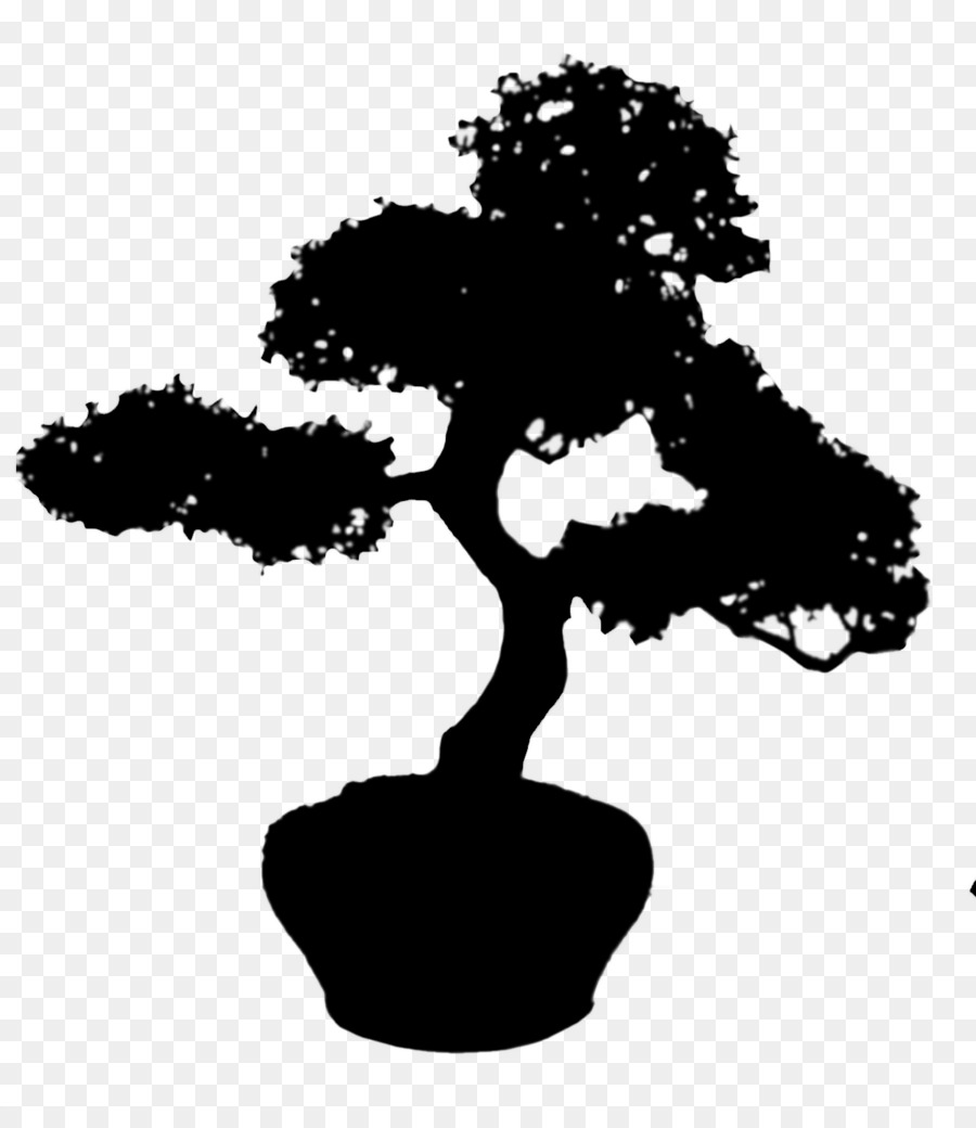 Árbol Bonsái，Miniatura PNG