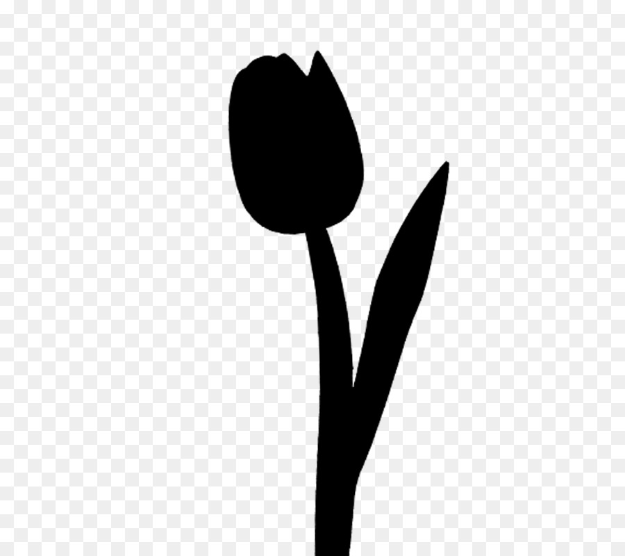 Tulip，Tallo De La Planta PNG