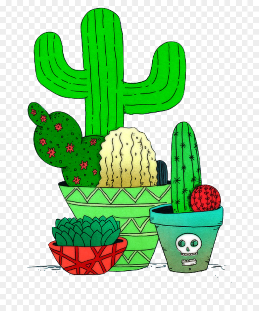 Cactus，Cactus Y Suculentas PNG