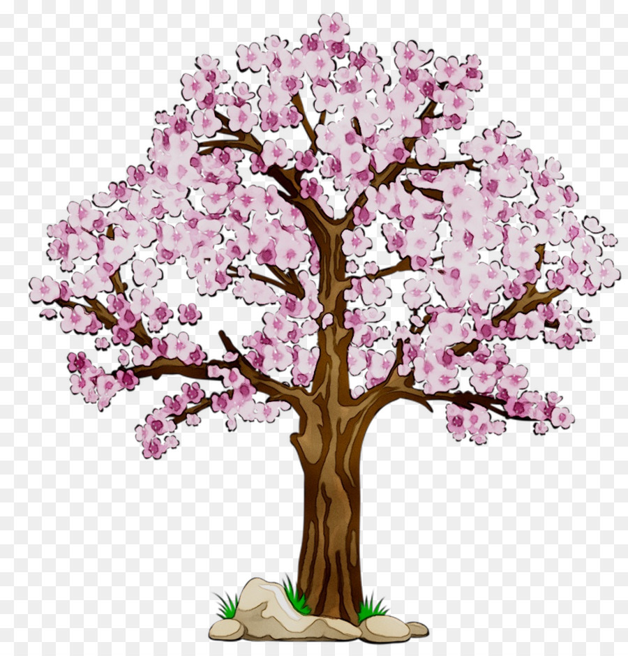 Árbol De Cerezo En Flor，Flores PNG