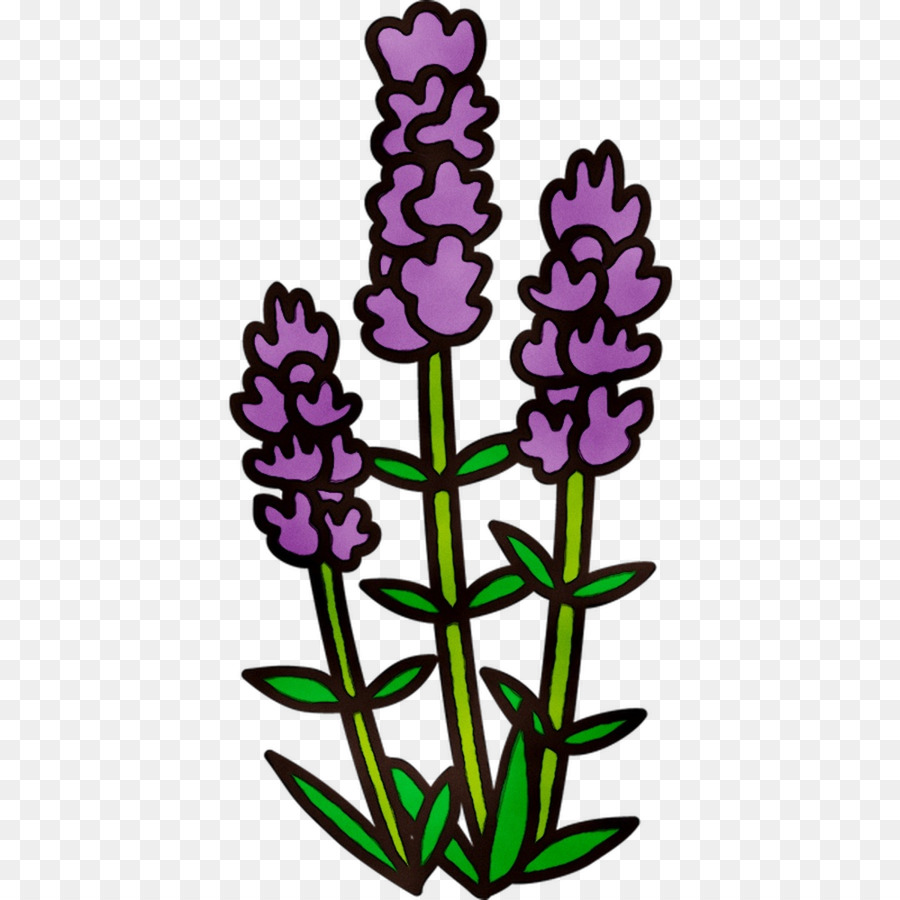 Inglés Lavanda，Tallo De La Planta PNG