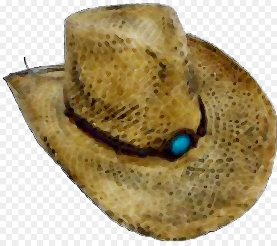 Sombrero De Vaquero，Occidental PNG