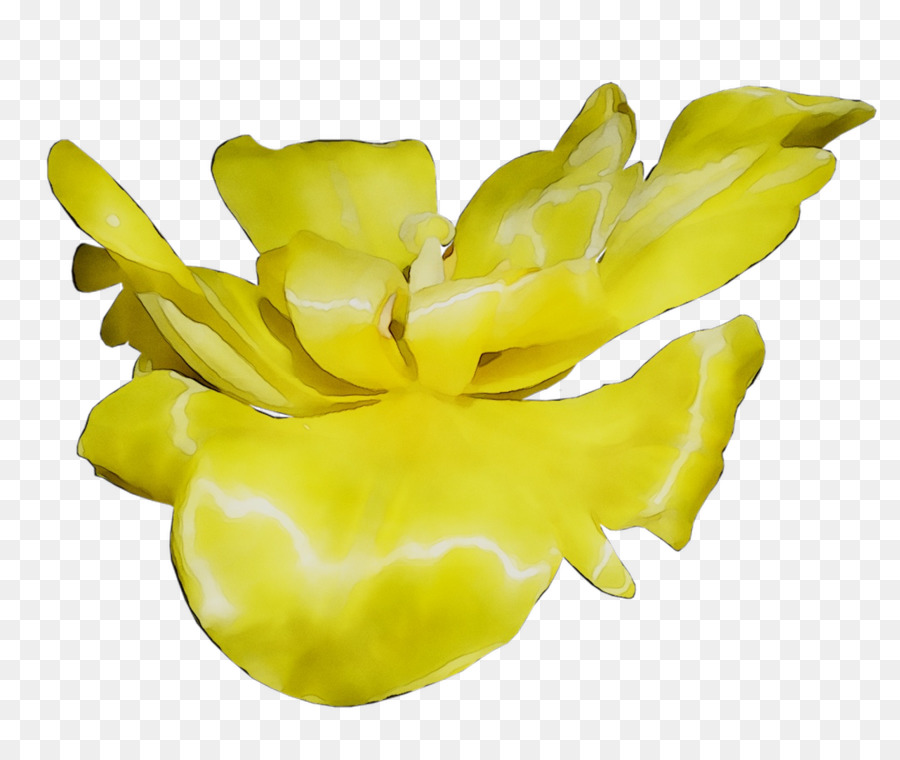 Amarillo，La Fruta PNG