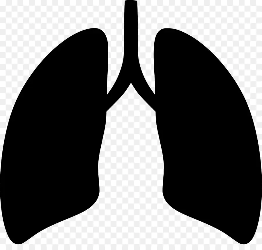 Pulmones Negros，Salud PNG