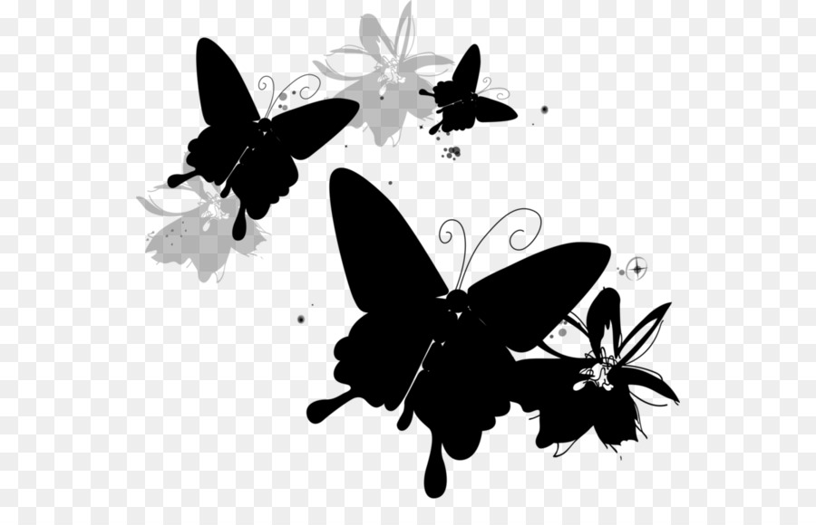 Brushfooted Mariposas，Dibujo PNG