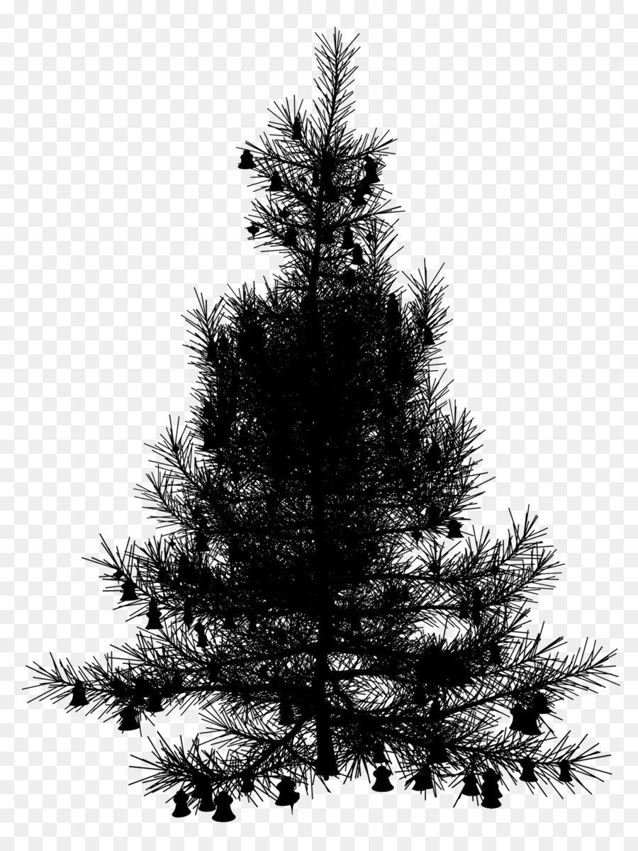 Abeto，árbol De Navidad PNG