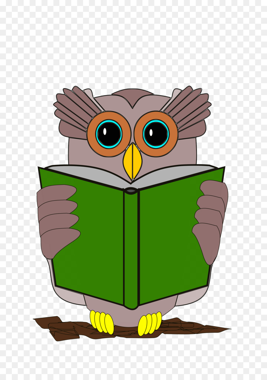 Libro，Reseña Del Libro PNG