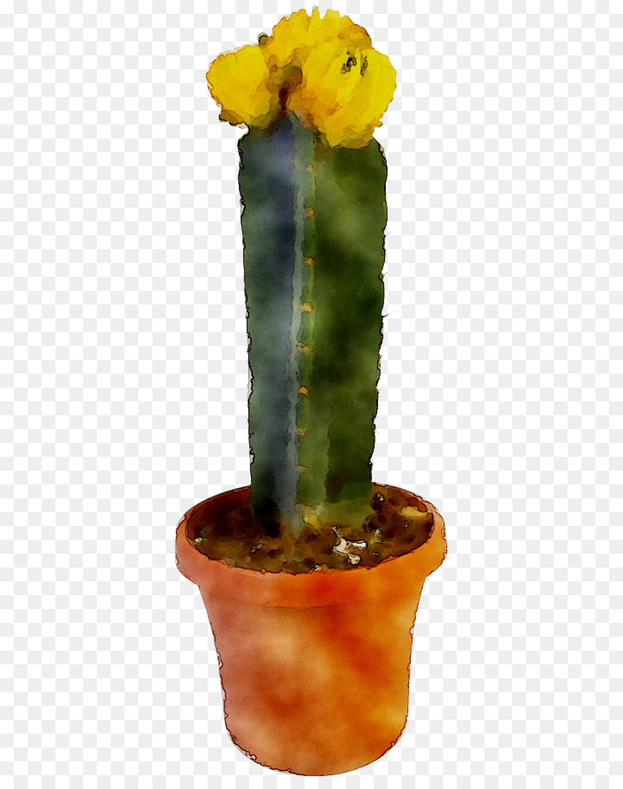 Oriental De La Tuna，Cactus PNG