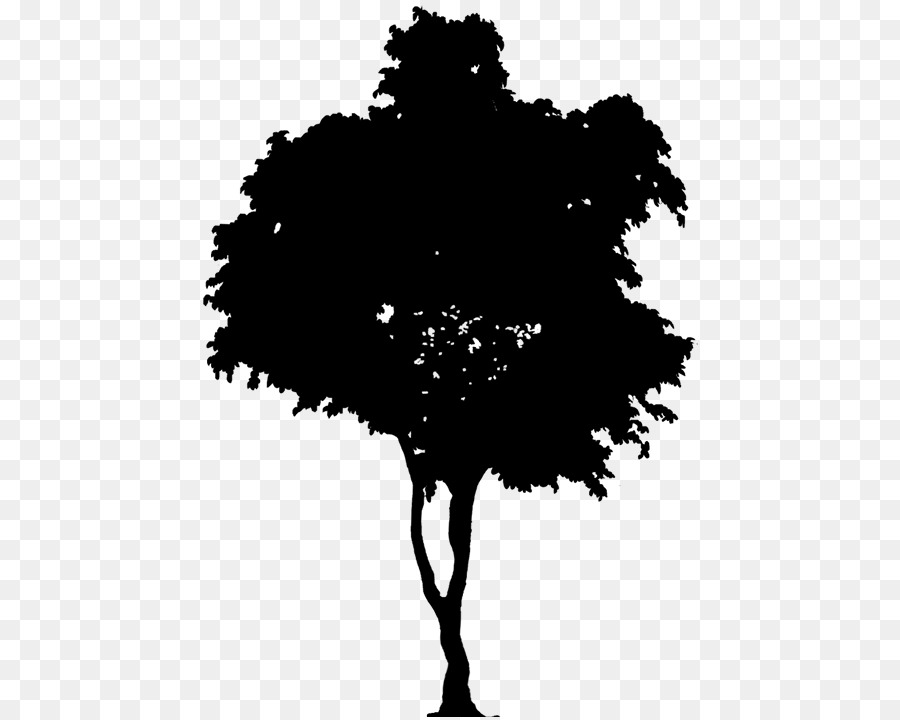 Árbol，Silueta PNG