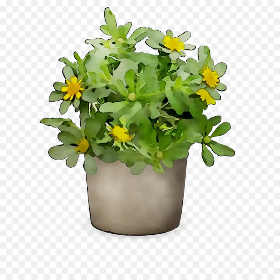 Las Flores Cortadas，La Floración De La Planta PNG