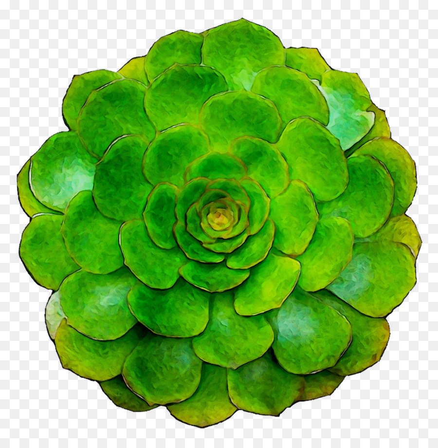 Verde，Flor PNG