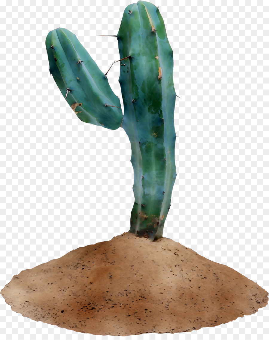 Las Chumberas，Cactus PNG