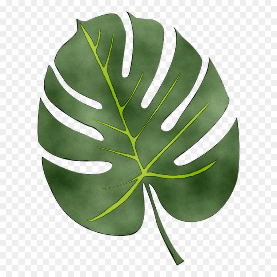 Hoja，Verde PNG