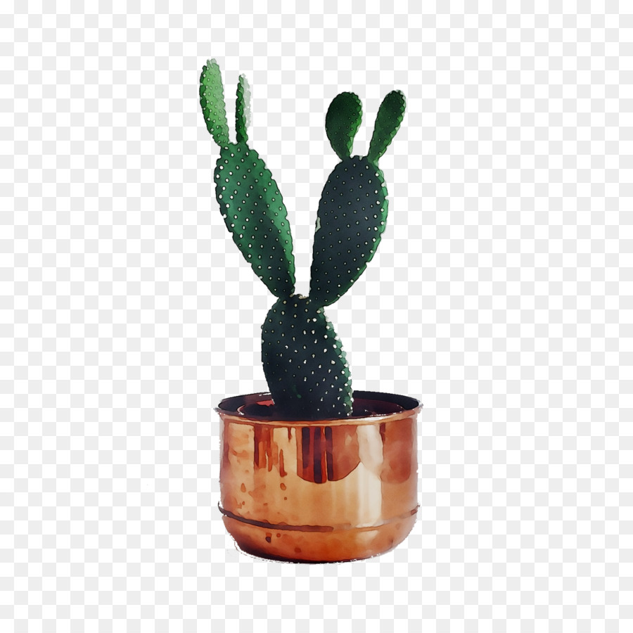 Cactus，Tarjetas De Felicitación PNG