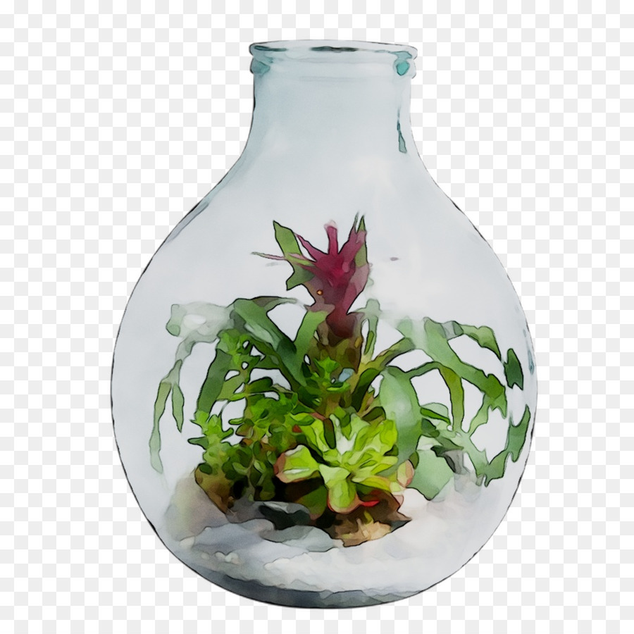 Florero，Las Plantas PNG