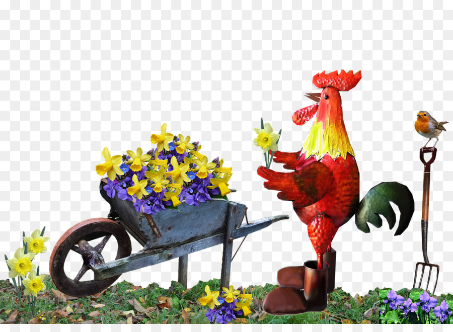 Gallo，Flor PNG