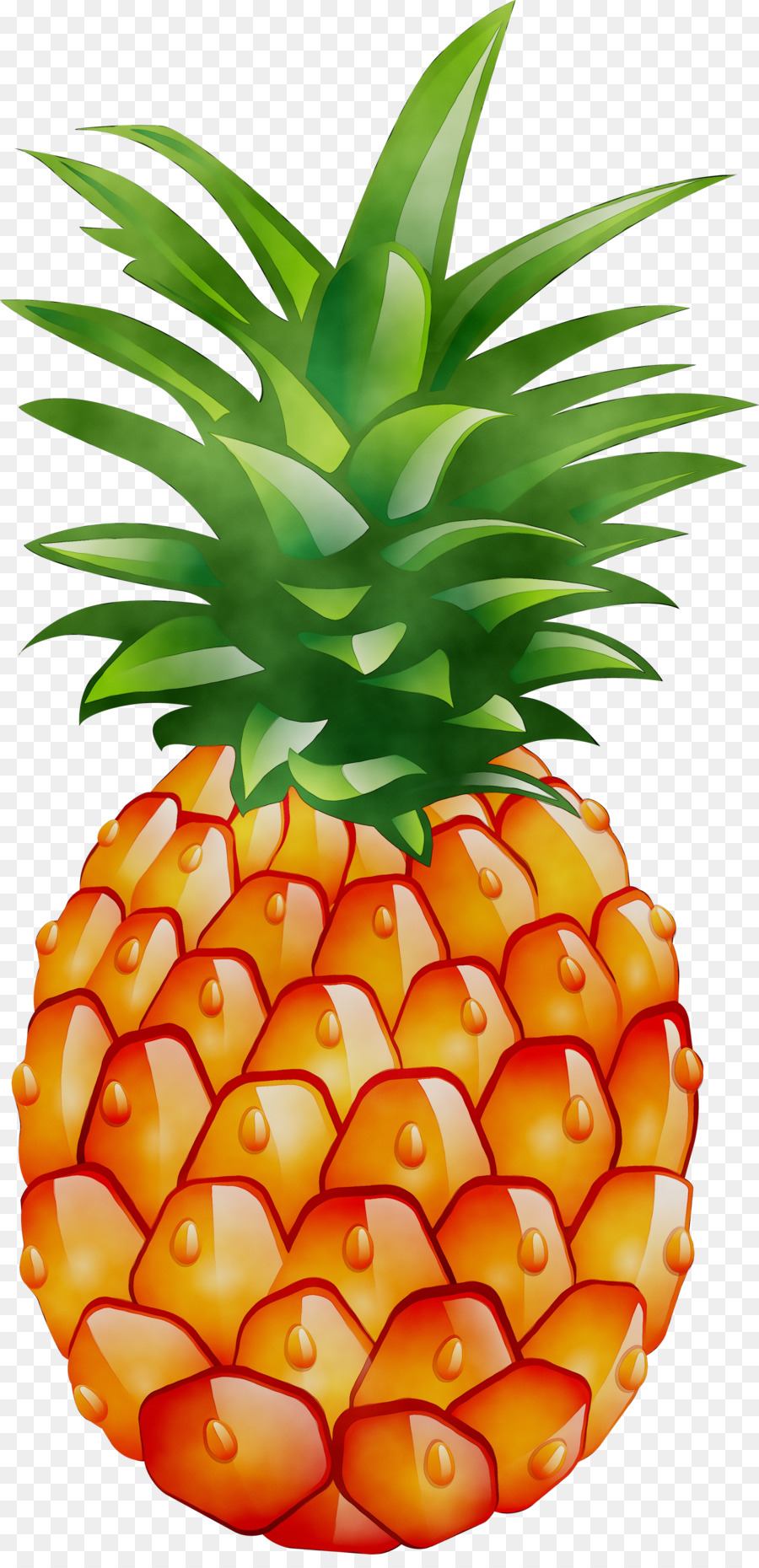 Piña，Fondo De Escritorio PNG