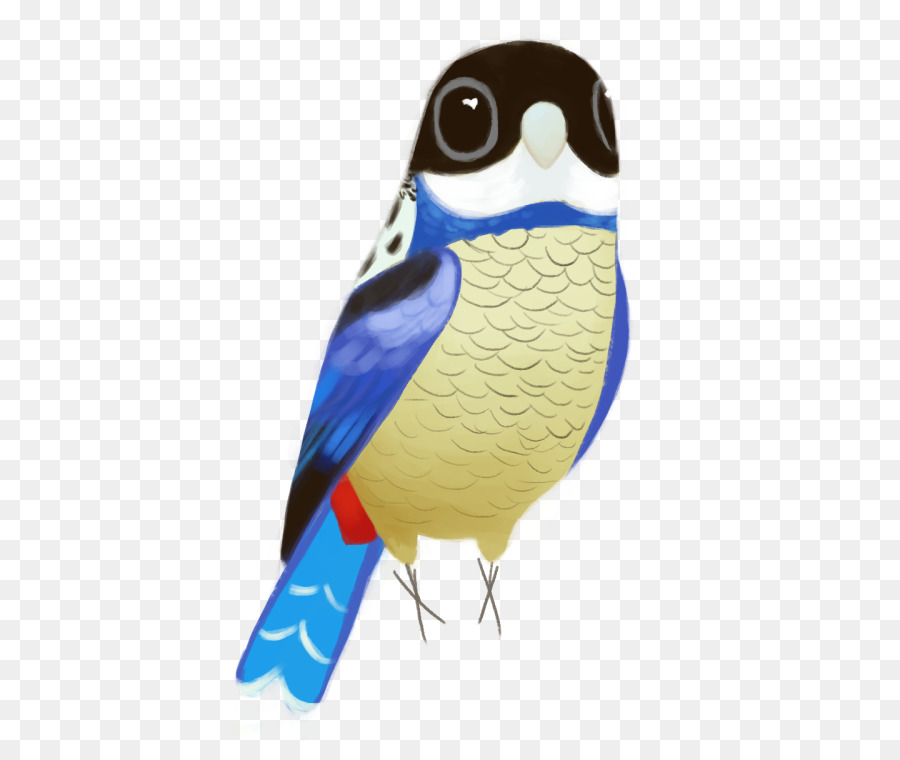 Pico，Aves PNG